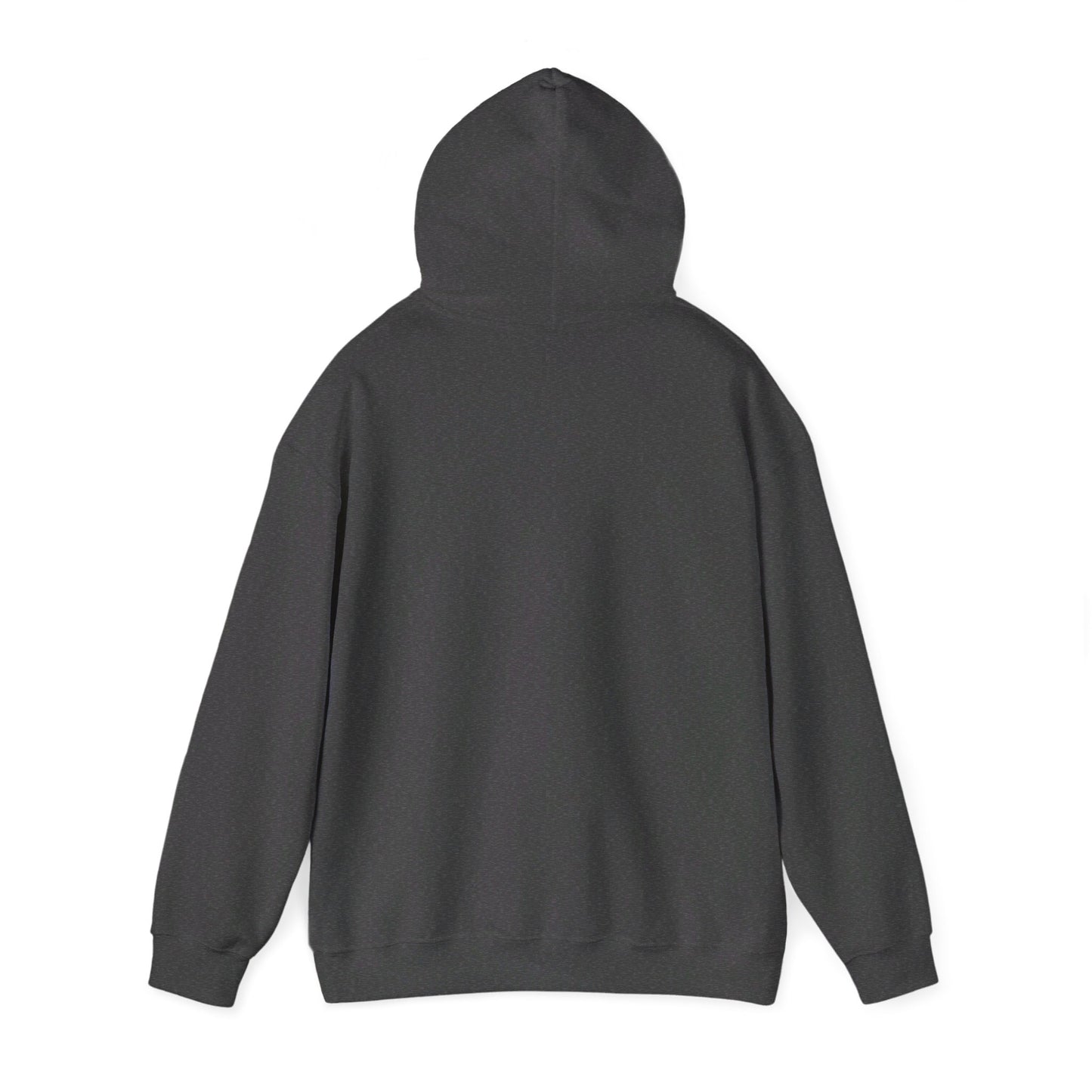 NM Evening Burn Hoodie